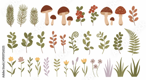 An enchanting conceptual vector collection of diverse autumnal botanical elements and whimsical woodland flora