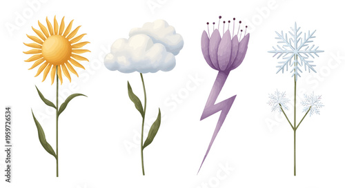 Stylized Floral Illustrations Representing Diverse Weather Patterns and Seasonal Elements