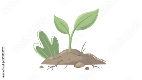 Seedling Sprouting from Earth Mound with Green Leaves and Roots