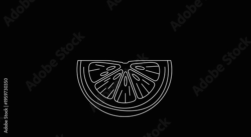 Lemon Slice Line Art Illustration.