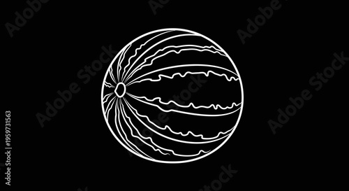 White Watermelon on Black Background.