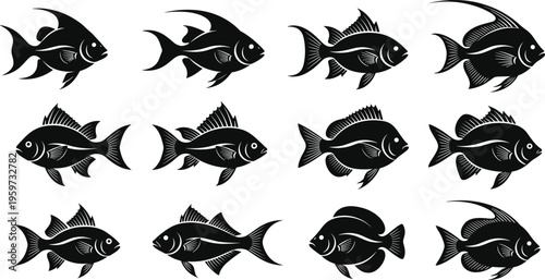 Fish silhouette set, detailed tropical and freshwater aquarium fish isolated vector illustration collection for marine wildlife design