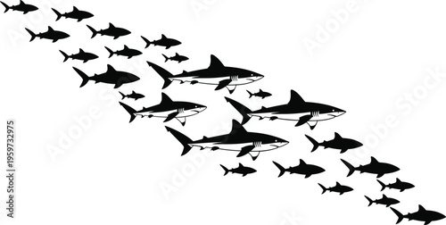 Shark silhouette school set, marine predator fish swimming group isolated vector illustration for ocean wildlife design