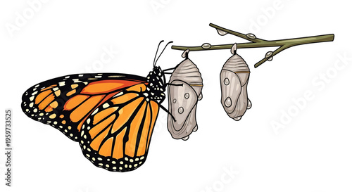 A colorful monarch butterfly emerging from its cocoon, symbolizing transformation and growth.