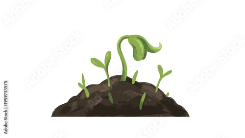 Seedlings Growing from Soil with Fresh Green Sprouts in Spring