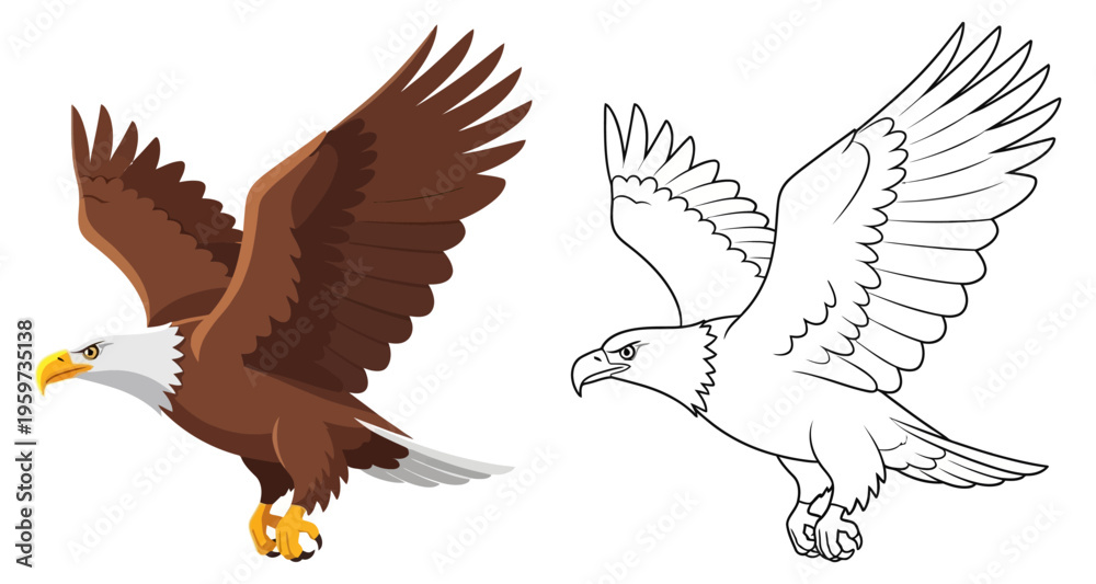 Fototapeta premium Bald Eagle Flying Detailed Close-up Color and Outline Comparison Vector Illustration