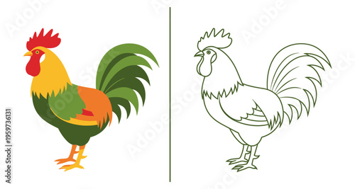 Rooster illustration and outline side view farm animal vibrant colors simple graphic isolated on white