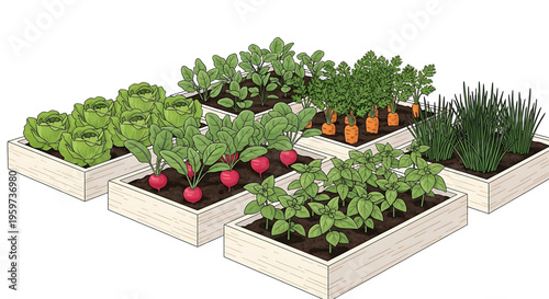 A vibrant vector illustration of a raised garden bed with various vegetables growing in it
