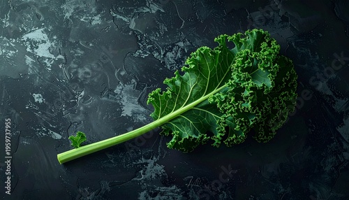Fresh Kale Leaf on Dark Background.