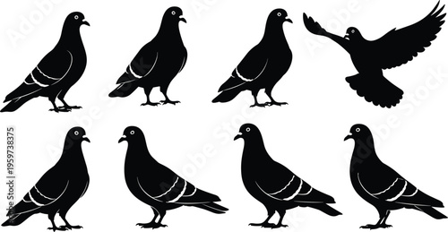 Pigeon silhouette set vector collection featuring standing and flying pigeons urban bird icons isolated on white background design elements for logo symbol and pattern use