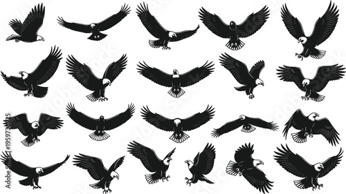 Eagle silhouette set vector collection featuring flying bald eagles in different poses spread wings bird of prey icons isolated on white background design elements