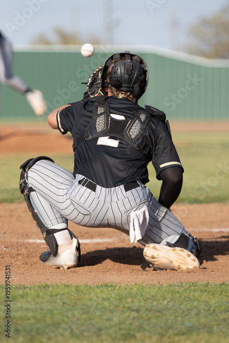 baseball catcher in position ready to catch a ball from the pitcher 