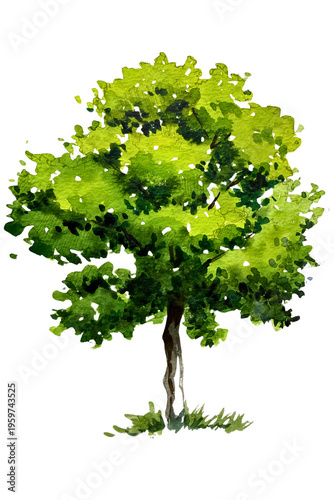 green tree 