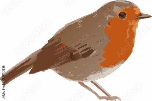 A colorful illustration of a european robin perched and looking forward