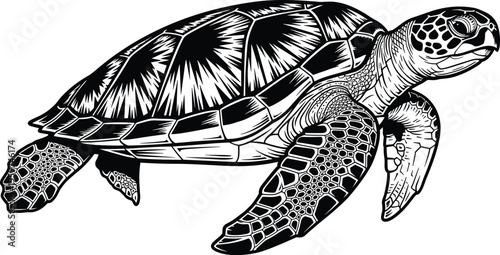 Sea turtle swimming with detailed shell pattern and flippers cad drawing flat vector illustration isolated on white background for design,