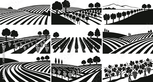 Vineyard landscape illustration set, black and white vector artwork, grapevine fields, agricultural scenery, rural farming design, viticulture concept, rolling hills patterns