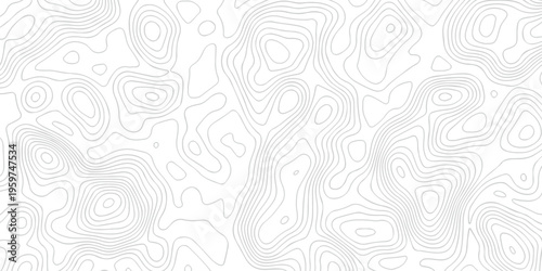 Contour abstract map relief land outline. Topographic map patterns. White wave paper curved reliefs abstract background. Background of the topography map. Abstract pattern with lines.