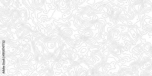 Contour abstract map relief land outline. Topographic map patterns. White wave paper curved reliefs abstract background. Background of the topography map. Abstract pattern with lines.