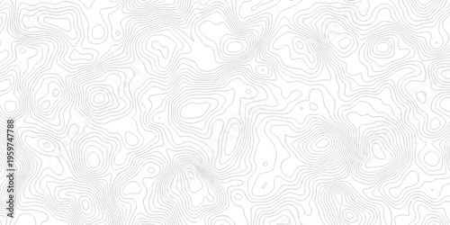Contour abstract map relief land outline. Topographic map patterns. White wave paper curved reliefs abstract background. Background of the topography map. Abstract pattern with lines.