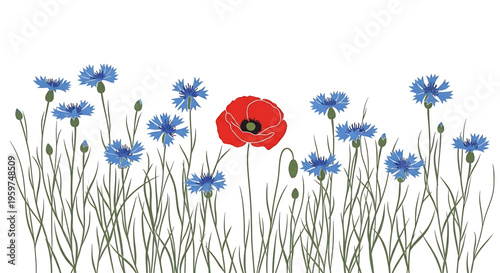 A vibrant vector illustration of a red poppy surrounded by blue cornflowers in a field of wildflowers with a minimalist design style.