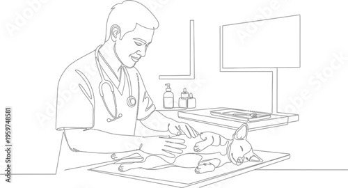 Veterinarian examining a small dog on an examination table