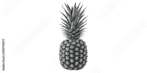 Detailed black and white stipple art illustration of a ripe pineapple fruit isolated on a clean white background for design