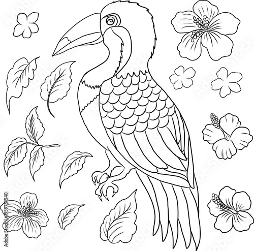 A vibrant and playful illustration of a toucan bird surrounded by tropical flowers and lush green leaves. The artwork features a stylized toucan with a large, eye catching beak and beautifully layered