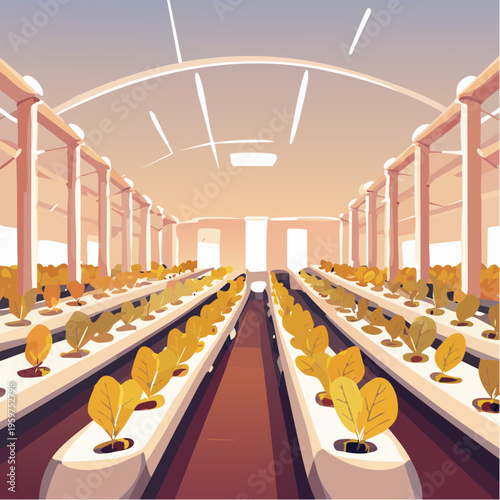 Innovative Hydroponic Indoor Farm Vector Illustration Featuring Rows of Fresh Leafy Greens in a Modern Sustainable Agriculture Facility
