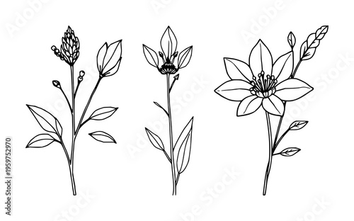 Nature wellness flora set with botanical and soothing illustration featuring plants, flowers, herbs, trees with restful color palette and natural textures