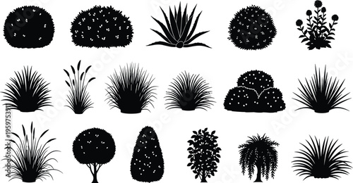 Black silhouette collection of garden plants including bushes shrubs ornamental grasses and topiary trees isolated on a white background for landscape architecture design vector
