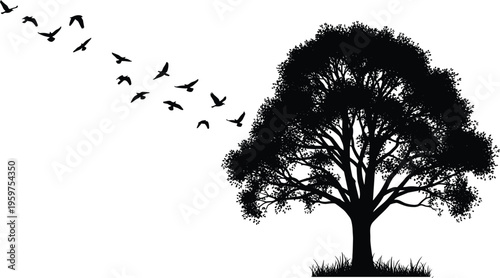 Black silhouette of a large leafy deciduous tree and a flock of birds flying in the sky isolated on a white background nature concept