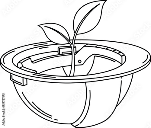 Small plant growing in a biodegradable pot with a saucer
