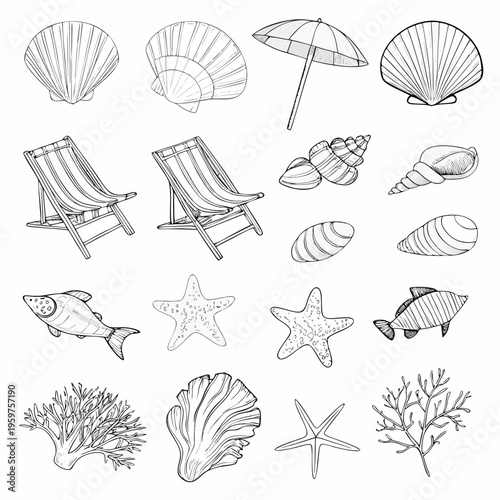 Sketch of beach elements including shells chairs fish and coral