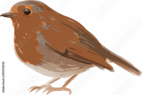 Illustration of a european robin perched with a focused gaze
