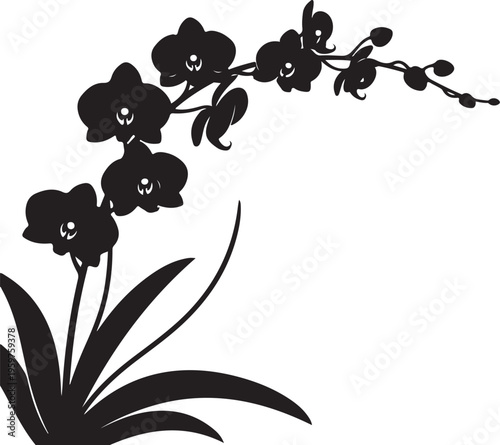 Black orchid flower, silhouette floral, vector illustration, decorative plant