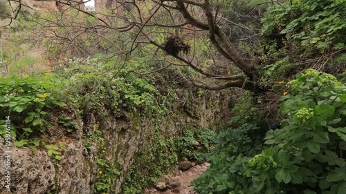 Scenic hiking path surrounded by lush vegetation and rocky walls, revealing the distant Puente Nuevo bridge in the historic town of Ronda, Spain.