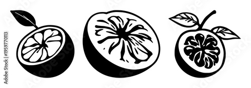 Passion fruit half set with solid black line illustration featuring exotic superfruit theme, graphic vector, isolation with fresh fruit and botanical style