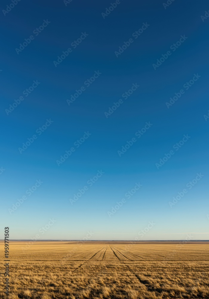 Fototapeta premium A wide, panoramic view of the distant horizon line separating the expansive, blue sky from the flat, open landscape below, ocean, design, scene