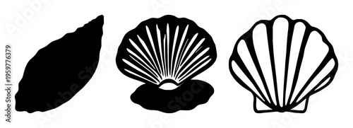 Clam shell silhouette set with single black outline form featuring marine life, beach, water, shell illustration with sea and ocean