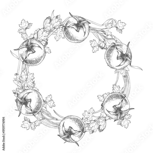 Wreath of the parsley, tomatoes and green onion. Vector ink styled handmade illustration. For packaging design, cards, cover, prints, product labels and fabric.