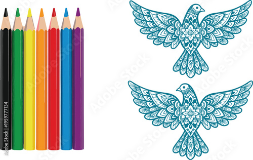 Coloring Pencils and Intricate Bird Designs for Creative Art and Mandala Coloring