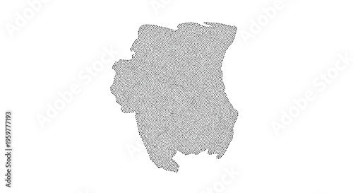 Abstract black and white dotted shape resembling a landmass or organic form high quality professional detailed