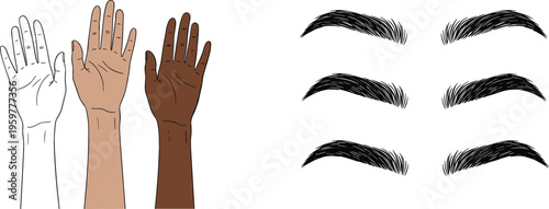 Hands and Eyebrow Illustrations with Different Skin Tones and Natural Eyebrow Shapes for Beauty and Body Illustration