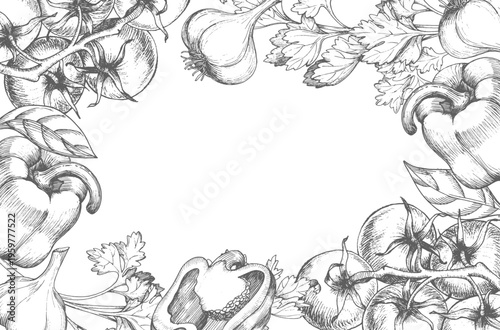 Frame of the bell peppers, tomatoes, parsley, garlic and leaves. Vector ink styled illustration. For packaging design, cards, cover, prints, product labels and fabric.