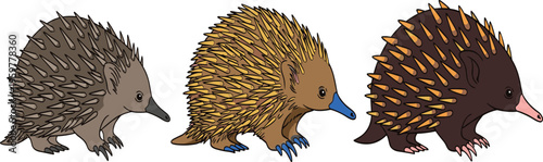 Echidna Animal Set in Detailed Cartoon Style Featuring Different Colors and Variations of Spiny Anteater Wildlife Vector Illustration for Nature and Education Designs.