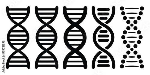 DNA Double Helix Vector Illustration