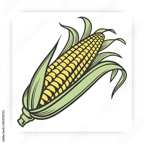 Hand Drawn Corn icon Vector Illustration, Fresh Maize Clipart, Organic Farm Vegetable Design Isolated on White Background.