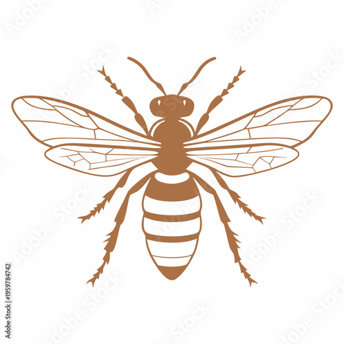 Detailed illustration of a honeybee with outstretched wings and striped abdomen