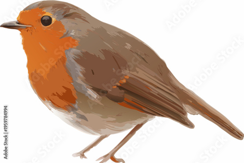 A vibrant illustration of a european robin perched on a branch