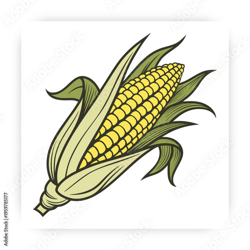 Hand Drawn Corn icon Vector Illustration, Fresh Maize Clipart, Organic Farm Vegetable Design Isolated on White Background.
